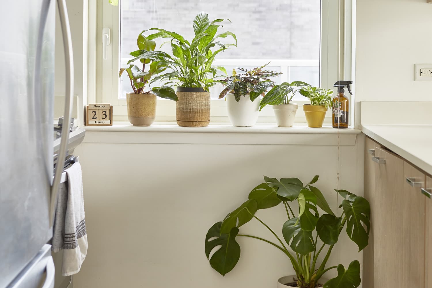 Afloral Fake Plant Review Everyone Thinks My Pothos Is Real